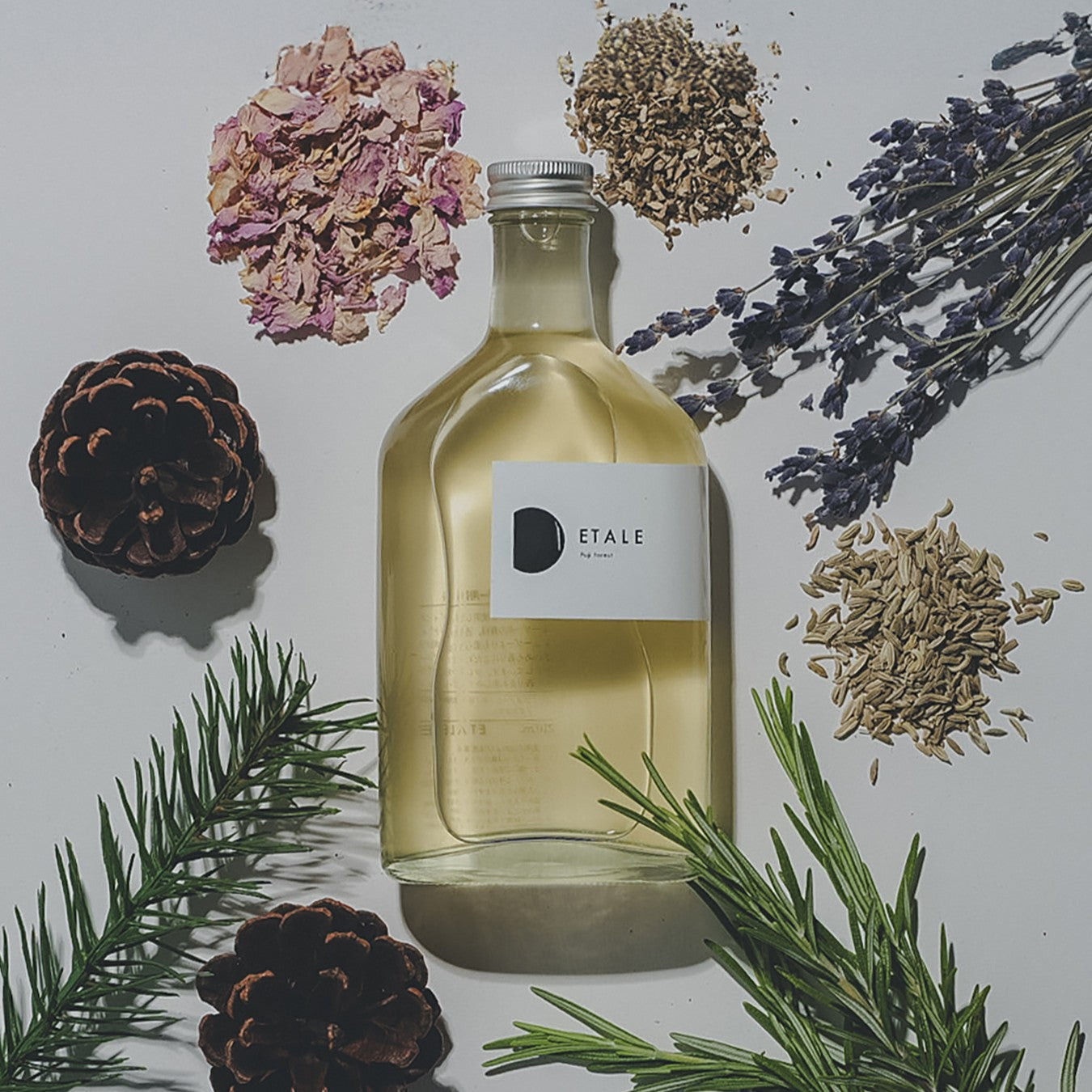 【定期便】Fuji forest-フジ フォレスト-