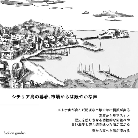香りのサンプル(5種類)-世界を巡るシリーズ-